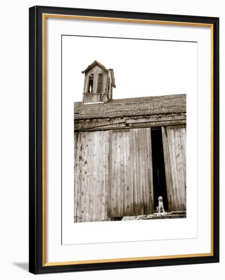 Barnyard Dog-Jim Dratfield-Framed Art Print