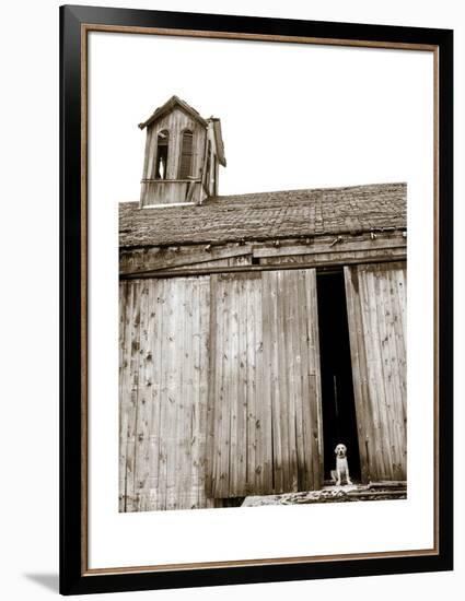 Barnyard Dog-Jim Dratfield-Framed Art Print