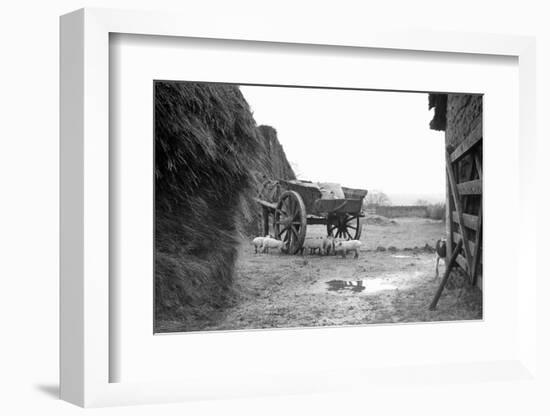 Barnyard Scene in France, Ca. 1935.-Kirn Vintage Stock-Framed Photographic Print