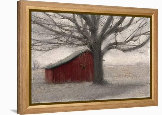 Barnyard Star-Kimberly Allen-Framed Stretched Canvas