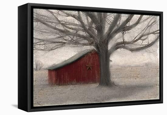 Barnyard Star-Kimberly Allen-Framed Stretched Canvas