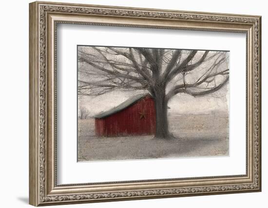 Barnyard Star-Kimberly Allen-Framed Photo