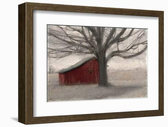 Barnyard Star-Kimberly Allen-Framed Photo