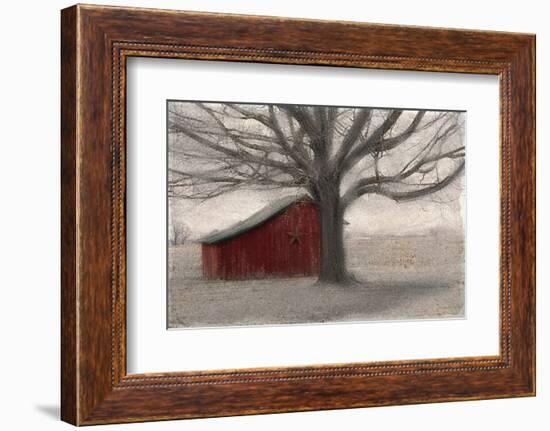 Barnyard Star-Kimberly Allen-Framed Photo