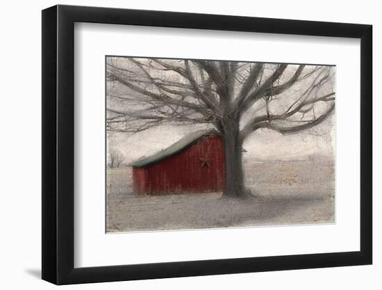 Barnyard Star-Kimberly Allen-Framed Photo