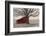 Barnyard Star-Kimberly Allen-Framed Photo