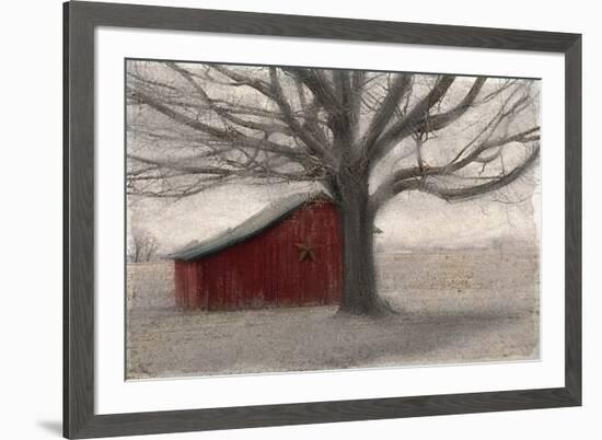 Barnyard Star-Kimberly Allen-Framed Photo