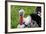 Barnyard Tom Turkey, Farmers' Museum, Cooperstown, New York, USA-Cindy Miller Hopkins-Framed Photographic Print