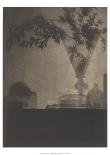 Glass and Shadows, 1912-Baron Adolf De Meyer-Mounted Art Print