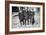 Baron Von Richthofen with Fellow Pilots, Including His Brother Lothar-German photographer-Framed Giclee Print