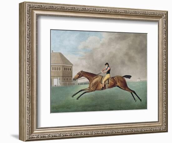 Baronet, 1794 (Etching)-George Stubbs-Framed Giclee Print