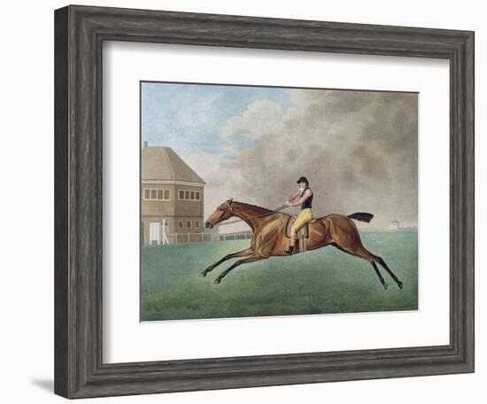 Baronet, 1794 (Etching)-George Stubbs-Framed Giclee Print