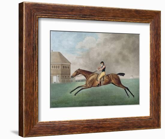 Baronet, 1794 (Etching)-George Stubbs-Framed Giclee Print