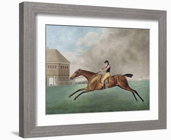 Baronet, 1794 (Etching)-George Stubbs-Framed Giclee Print