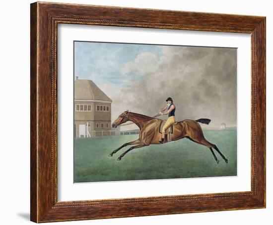 Baronet, 1794 (Etching)-George Stubbs-Framed Giclee Print