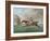 Baronet, 1794 (Etching)-George Stubbs-Framed Giclee Print