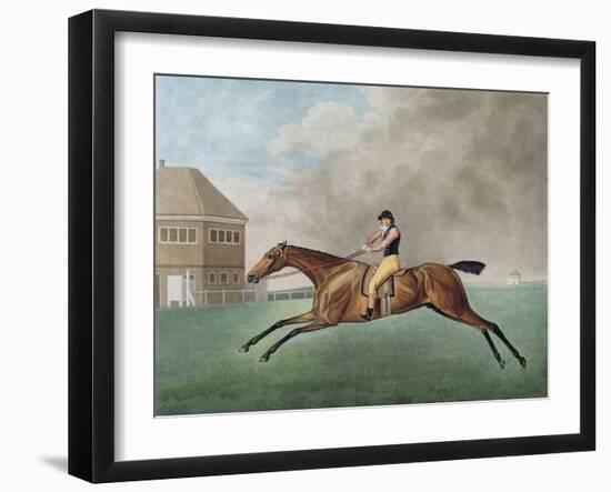 Baronet, 1794 (Etching)-George Stubbs-Framed Giclee Print