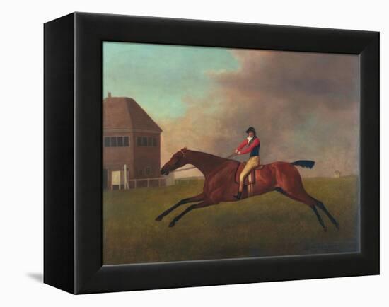 Baronet with Sam Chifney Up, 1791-George Stubbs-Framed Premier Image Canvas