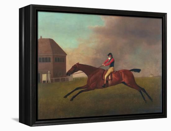 Baronet with Sam Chifney Up, 1791-George Stubbs-Framed Premier Image Canvas