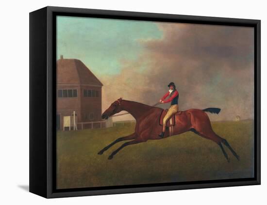 Baronet with Sam Chifney Up, 1791-George Stubbs-Framed Premier Image Canvas