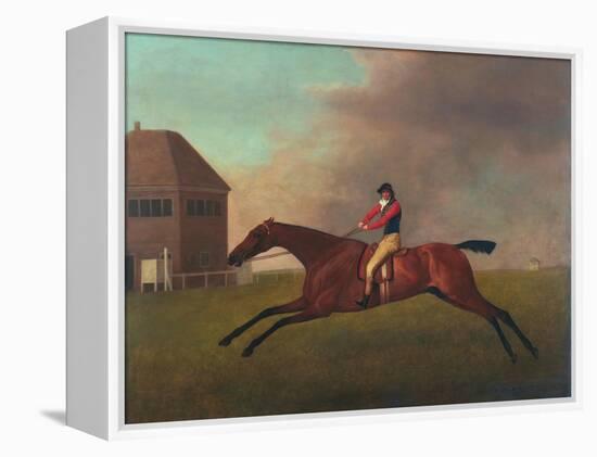 Baronet with Sam Chifney Up, 1791-George Stubbs-Framed Premier Image Canvas