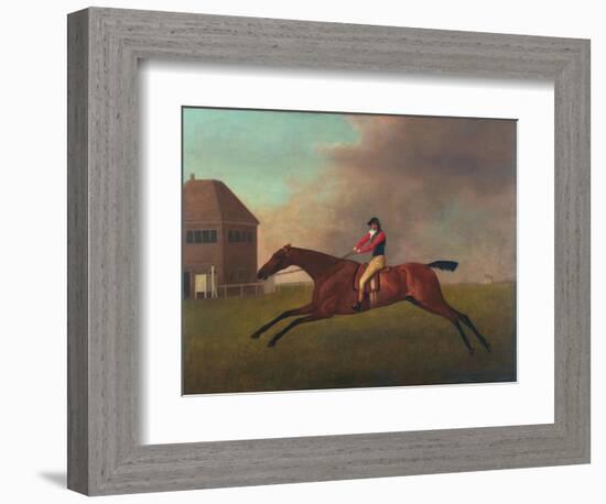 Baronet with Sam Chifney Up, 1791-George Stubbs-Framed Giclee Print