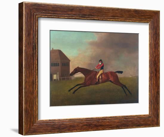 Baronet with Sam Chifney Up, 1791-George Stubbs-Framed Giclee Print