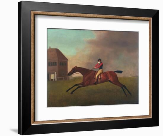 Baronet with Sam Chifney Up, 1791-George Stubbs-Framed Giclee Print