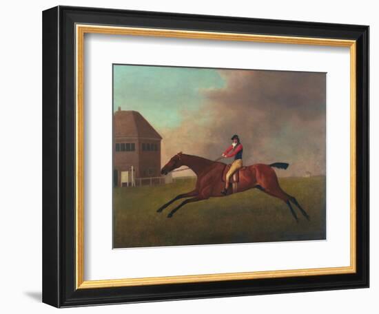 Baronet with Sam Chifney Up, 1791-George Stubbs-Framed Giclee Print