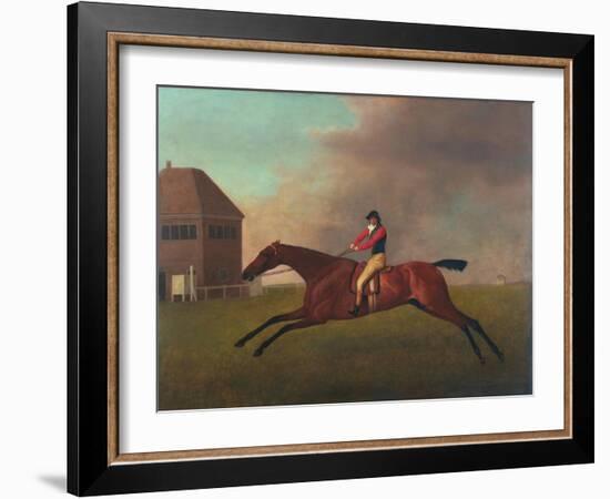 Baronet with Sam Chifney Up, 1791-George Stubbs-Framed Giclee Print