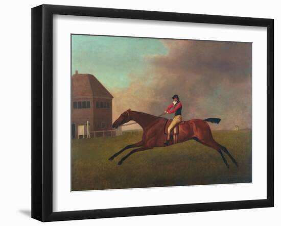 Baronet with Sam Chifney Up, 1791-George Stubbs-Framed Giclee Print