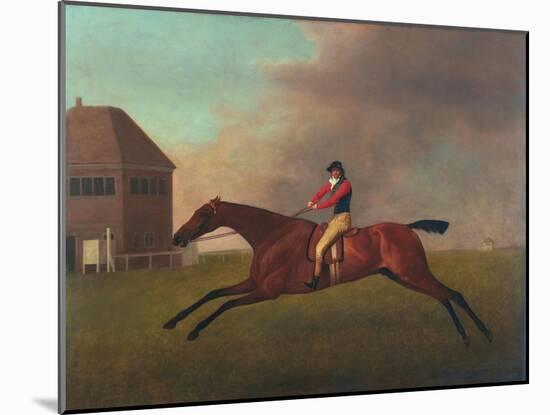Baronet with Sam Chifney Up, 1791-George Stubbs-Mounted Giclee Print
