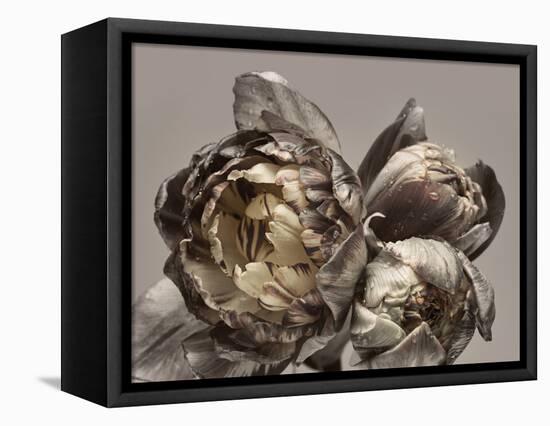 Baroque 4-Design Fabrikken-Framed Premier Image Canvas