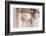 Baroque Architecture Details in Bologna-Petra Daisenberger-Framed Photographic Print