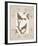 Baroque Birds I-Maria Mendez-Framed Giclee Print