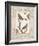 Baroque Birds I-Maria Mendez-Framed Giclee Print