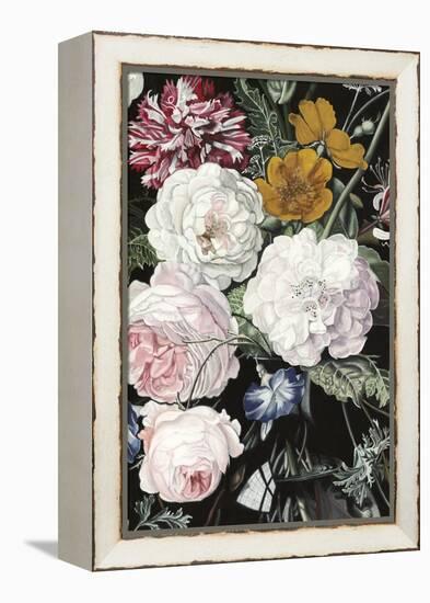 Baroque Botanica II-Naomi McCavitt-Framed Stretched Canvas
