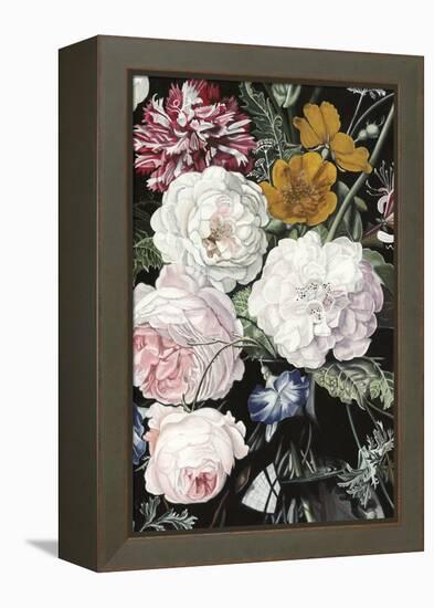 Baroque Botanica II-Naomi McCavitt-Framed Stretched Canvas