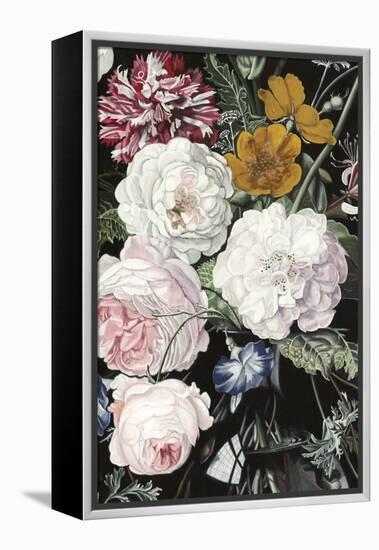Baroque Botanica II-Naomi McCavitt-Framed Stretched Canvas