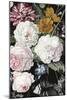 Baroque Botanica II-Naomi McCavitt-Mounted Art Print