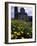 Baroque Style Cathedral and Yellow Daisies, Lipari, Sicily, Italy-Michele Molinari-Framed Photographic Print