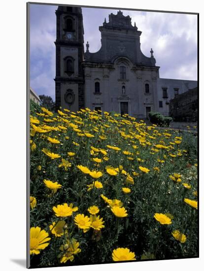 Baroque Style Cathedral and Yellow Daisies, Lipari, Sicily, Italy-Michele Molinari-Mounted Photographic Print
