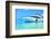 Baros Maldives Yacht-null-Framed Art Print