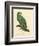 Barraband Parrot No. 110-Jacques Barraband-Framed Art Print