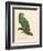 Barraband Parrot No. 110-Jacques Barraband-Framed Art Print