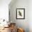 Barraband Parrot No. 110-Jacques Barraband-Framed Art Print displayed on a wall