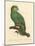 Barraband Parrot No. 110-Jacques Barraband-Mounted Art Print