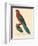 Barraband Parrot No. 78-Jacques Barraband-Framed Art Print