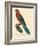 Barraband Parrot No. 78-Jacques Barraband-Framed Art Print