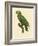 Barraband Parrot No. 86-Jacques Barraband-Framed Art Print